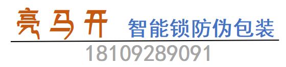 亮马开盒锁王防伪包装盒
